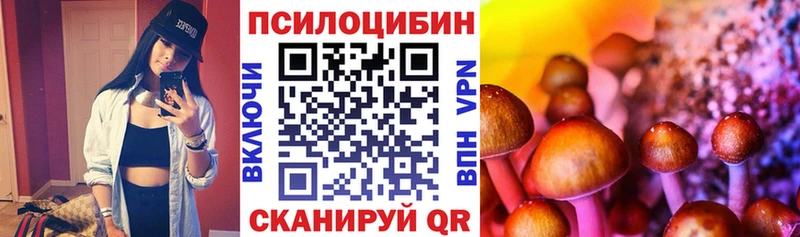 Галлюциногенные грибы Psilocybe  магазин продажи   Хилок 